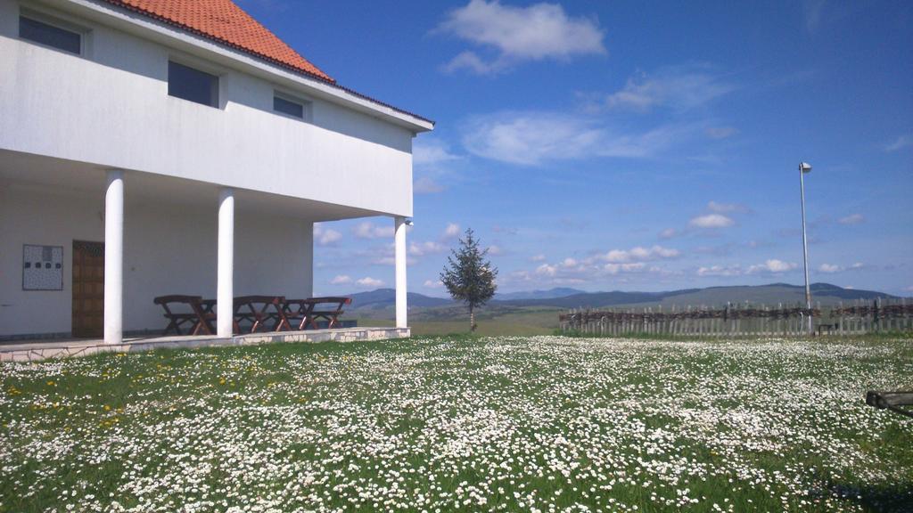 Apartments Zlatiborski Visovi Luaran gambar
